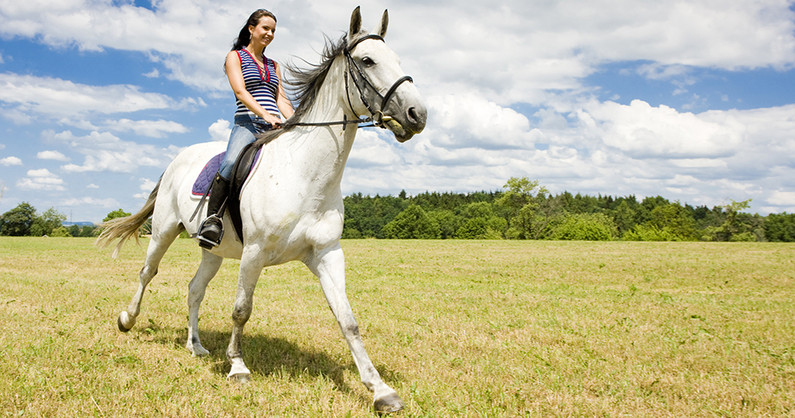 Романтическая конная прогулка, катание на лошади, занятие по верховой езде, прокат лошади для фотосессии в конноспортивном клубе «Престиж».