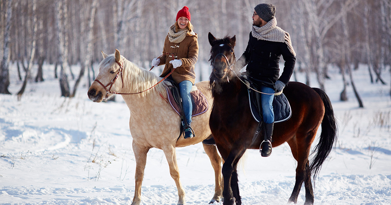 Катание на лошади или пони с инструктором, романтическая конная прогулка, индивидуальные занятия по верховой езде, прокат для фотосессии в конном клубе «Калачёво».