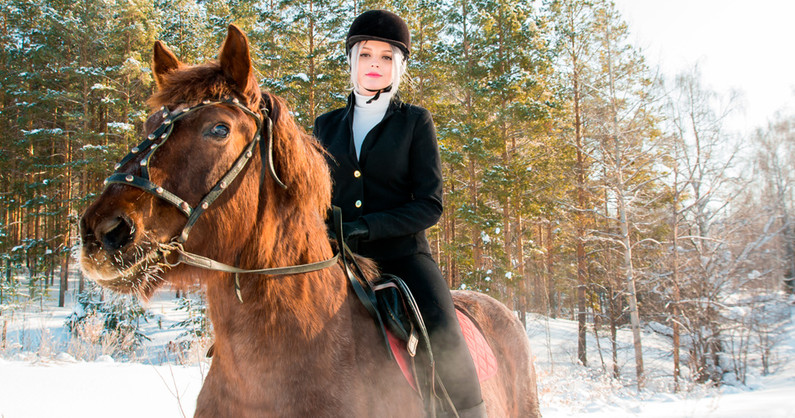 Романтическая конная прогулка, катание на лошади и пони, занятие по верховой езде, прокат лошади для фотосессии в конноспортивном клубе «Престиж».