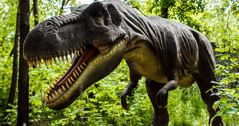 Посещение парка динозавров «Затерянный мир».