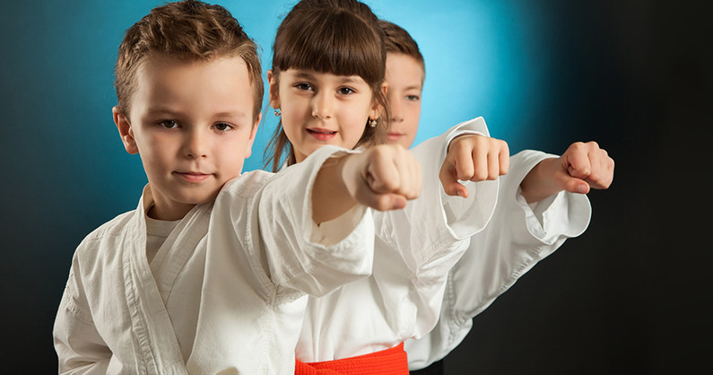 Занятия по направлениям ГТО, ММА, миксфайт, рукопашный бой, боевое самбо, ушу-саньда, Вьет Во Дао, всестилевое каратэ, бокс, кикбоксинг, тайский бокс в детско-юношеском спортивном центре.