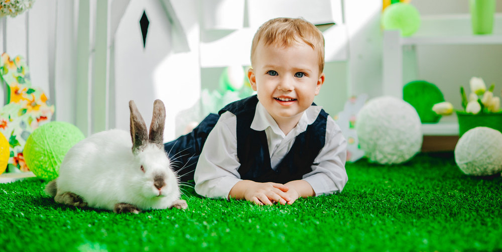 Кролик ребенку 4 лет. Фотосессия с кроликом в студии. Пасхальная фотосессия для детей. Фотосессия на Пасху. Фотосессия на Пасху для детей.