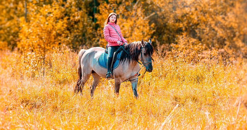 Романтическая конная прогулка, катание на лошади, занятие по верховой езде, прокат лошади для фотосессии в конноспортивном клубе «Престиж».