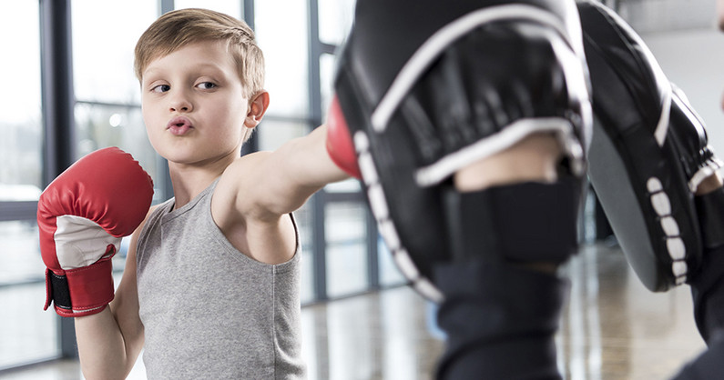 Занятия по направлениям ГТО, ММА, миксфайт, рукопашный бой, боевое самбо, ушу-саньда, Вьет Во Дао, всестилевое каратэ, бокс, кикбоксинг, тайский бокс в детско-юношеском спортивном центре.