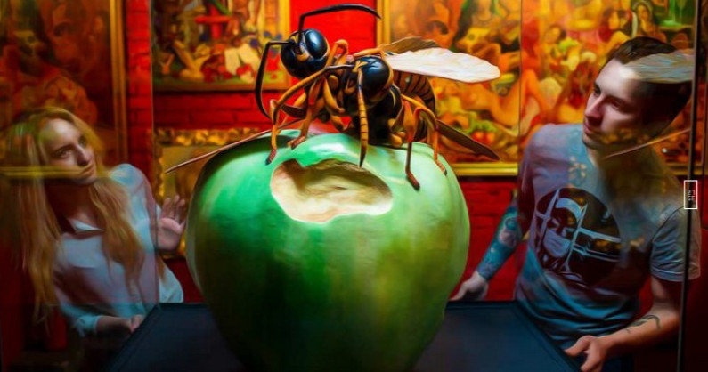 Билеты на выставку гигантских насекомых для взрослых и детей.