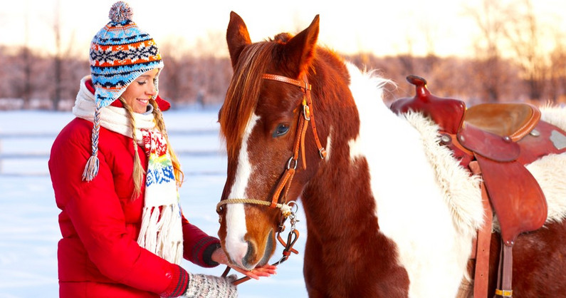 Конная прогулка, катание на лошади, занятие по верховой езде, прокат лошади для фотосессии в конноспортивном клубе «Престиж».