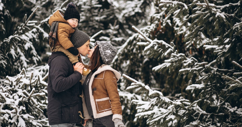 Аренда апартаментов в Сосновой Горке у озера Еловое.
