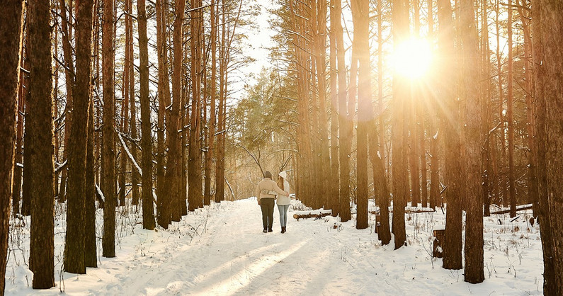 Аренда апартаментов в Сосновой Горке у озера Еловое.