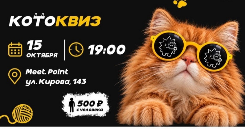 «Котоквиз» в баре «Meet.point» от «IQuiz».